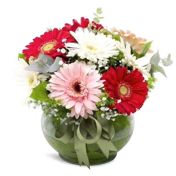  Marmaris Çiçekçiler - Cam Fanus Rengarenk Gerbera Aranjmanı