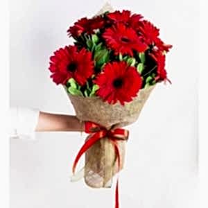 Marmaris Çiçek - Kırmızı Gerbera Buketi