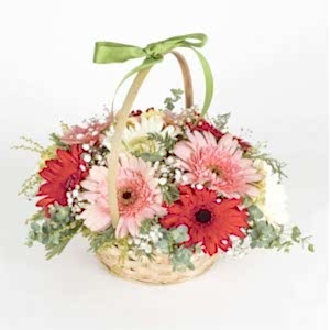  Marmaris Çiçekçiler - Baharın Renkleri Gerbera  Sepeti
