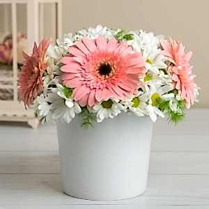  Marmaris Çiçek Siparişi - Pembe Gerbera ve Papatyalar