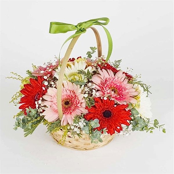  Marmaris Çiçekçiler - Baharın Renkleri Gerbera  Sepeti